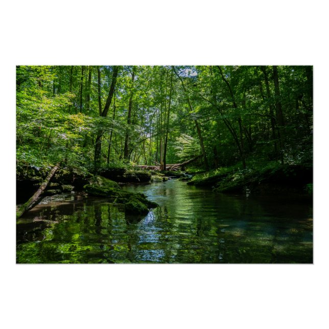 Ruhe im Wald  Poster (Vorderseite)