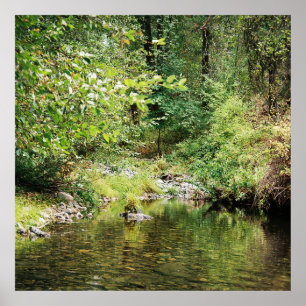 Ruhe im Wald...... Poster