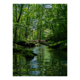 Ruhe im Wald Poster