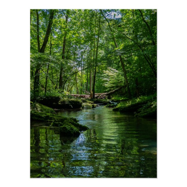 Ruhe im Wald  Poster (Vorderseite)