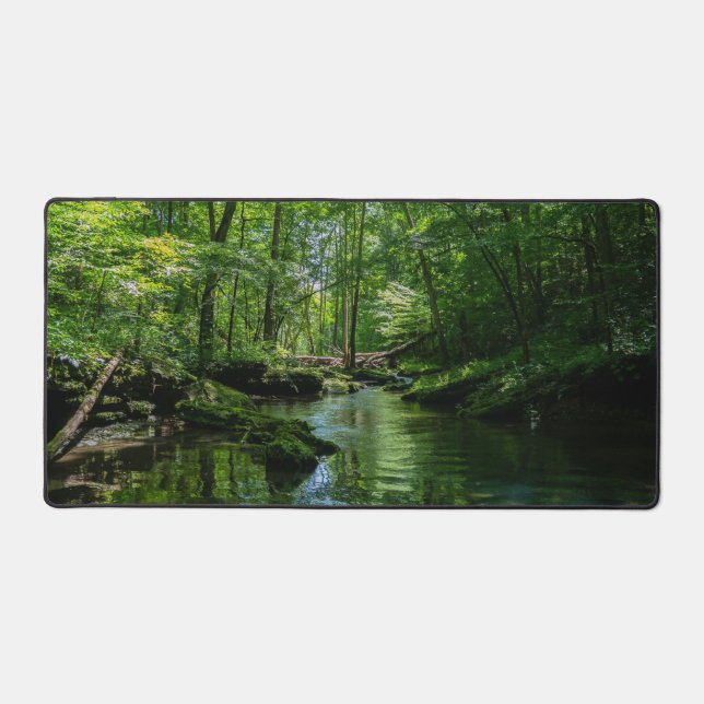 Ruhe im Wald  Schreibtischunterlage (Vorderseite)