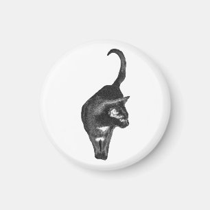 Ruhe-Katzen-Magnet Magnet