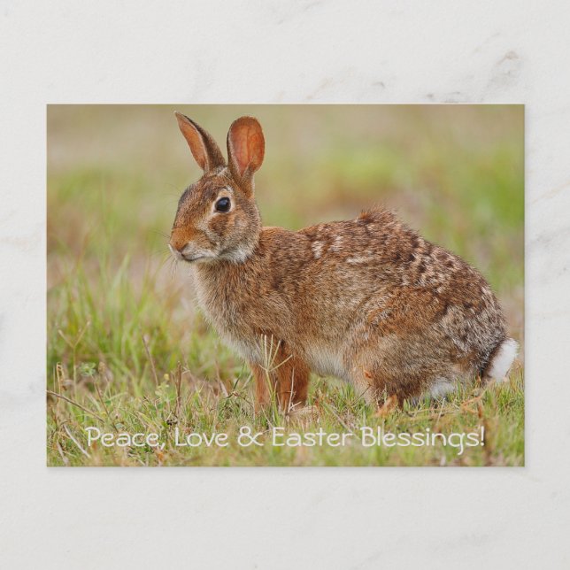 Ruhe, Liebe & Ostern Segnungen! Postkarte (Vorderseite)