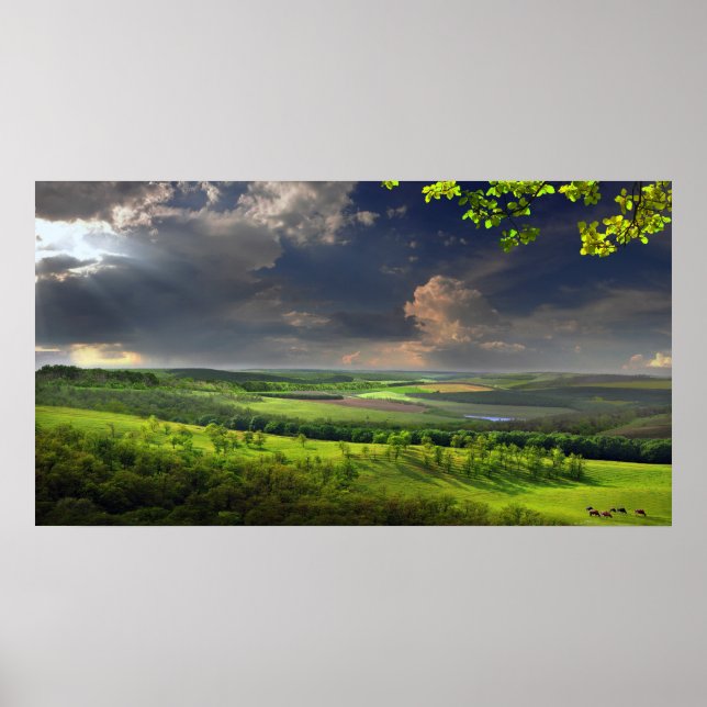 Ruhe Nachmittag Poster (Vorne)