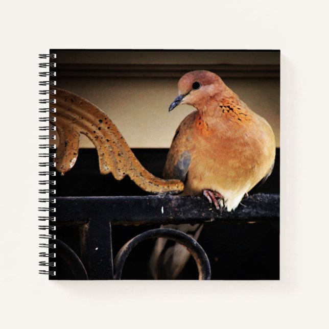 Ruhe Notizbuch (Vorderseite)