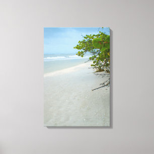 Ruhe und Frieden auf der Insel Sanibel Leinwanddruck