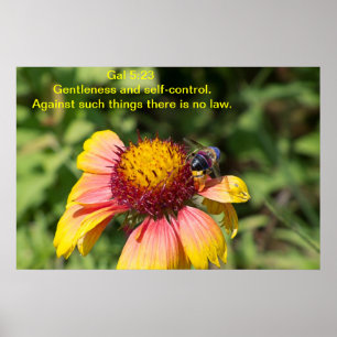 Ruhe und Kontrolle Poster