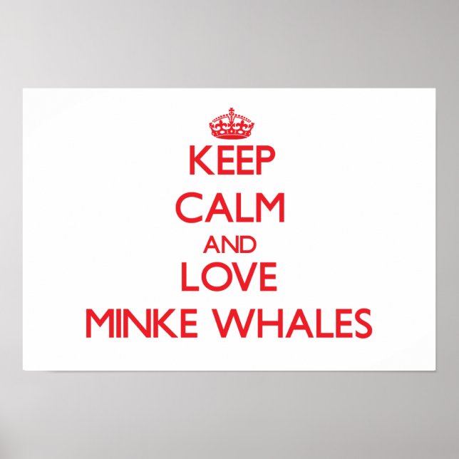 Ruhe und Liebe behalten Minke Whales Poster (Vorne)