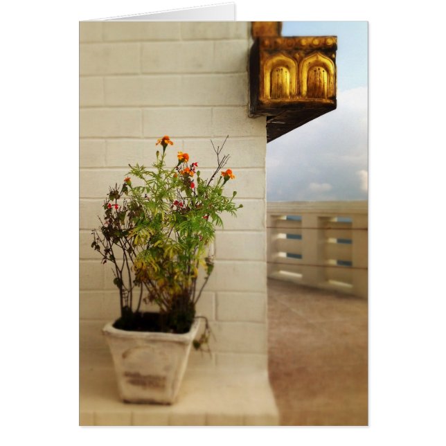 Ruhe und Raum in Nepal (Vorne)