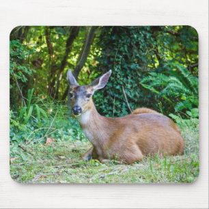 Ruhen des Hirschmousepads Mousepad