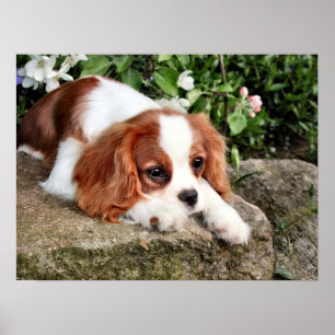 Ruhen Poster