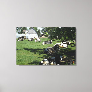 Ruhende Kühe auf dem Bauernhof Wrapped Canvas Kuns Leinwanddruck