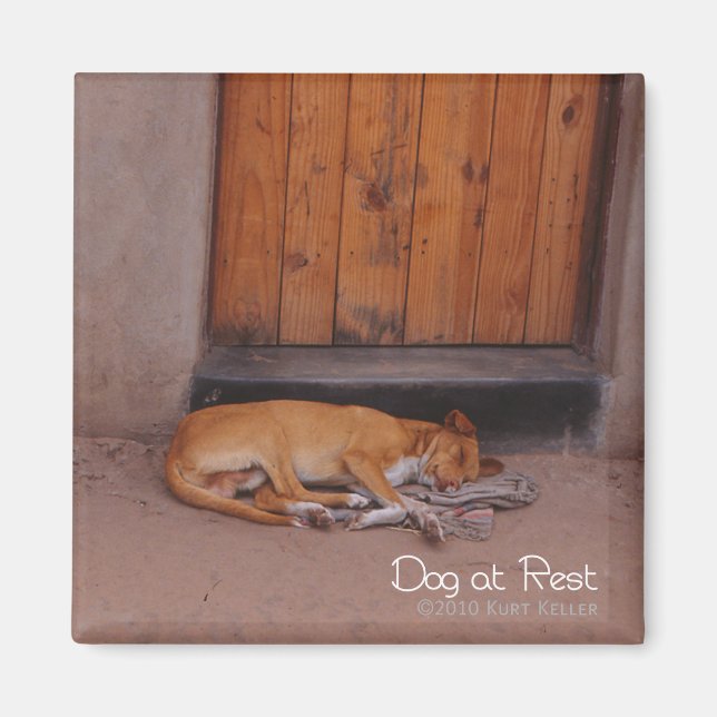 Ruhender Hund Magnet (Vorne)