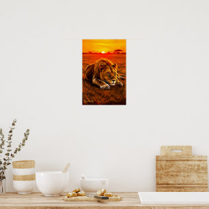 Ruhender männlicher Löwe in der goldenen Savanne Poster