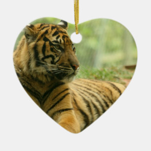 Ruhender Tiger-Schmuck Keramikornament