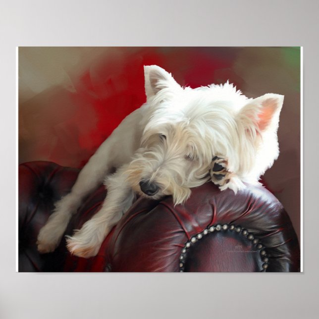 Ruhender Westie Poster (Vorne)
