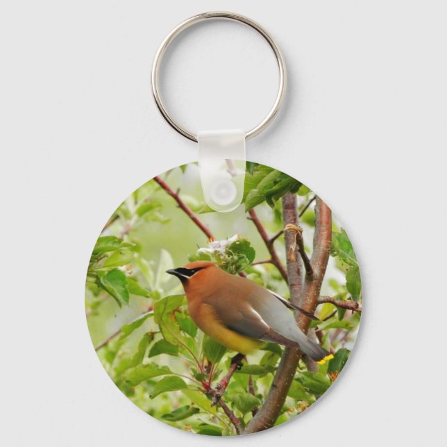 Ruhender Zedar Waxwing Schlüsselanhänger (Vorderseite)