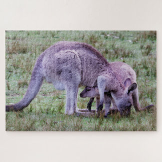 Ruhendes Junges Känguru Puzzle