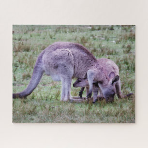 Ruhendes Junges Känguru Puzzle