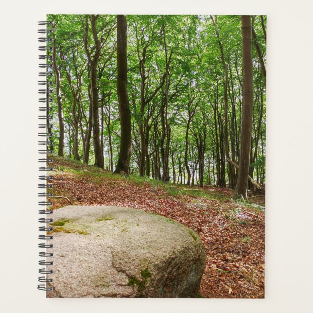 Ruheort Buchenwald Planer (Vorderseite)