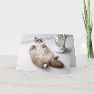 Ruhestands-Ragdoll-Katze kühlt sich an einem Venti Karte