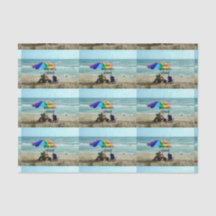 Ruhig - Jeden Tag ist Samstag. Gabelfischerei