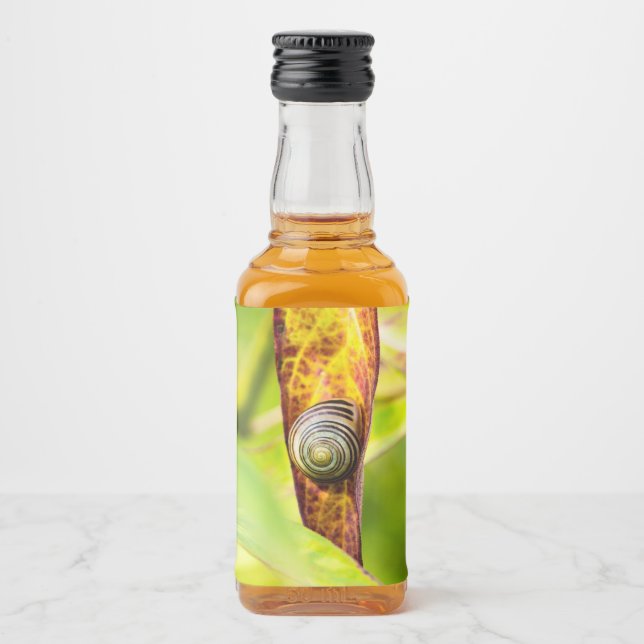 ruhige Bindung Alkoholflaschenetikett (Vorderseite)