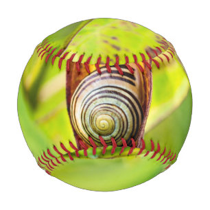 ruhige Bindung Baseball
