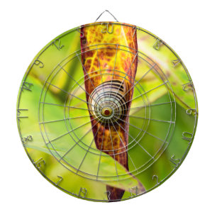 ruhige Bindung Dartscheibe