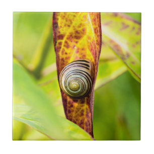 ruhige Bindung Fliese