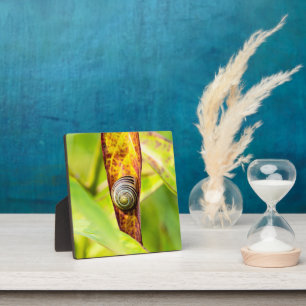 ruhige Bindung Fotoplatte