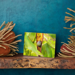 ruhige Bindung Fotoplatte