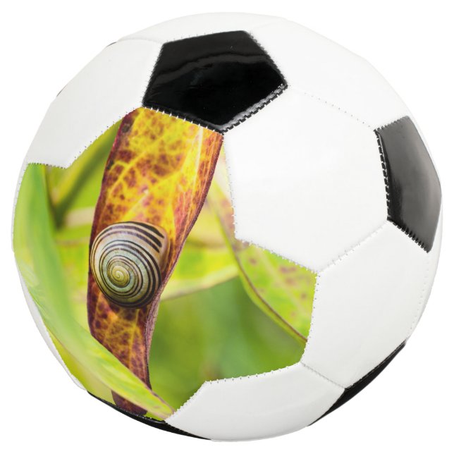 ruhige Bindung Fußball (Dreiviertel)