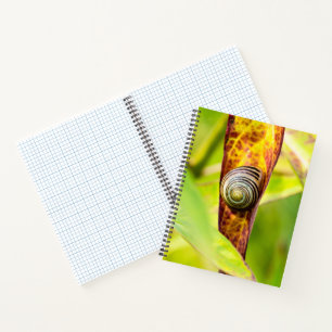 ruhige Bindung Notizbuch