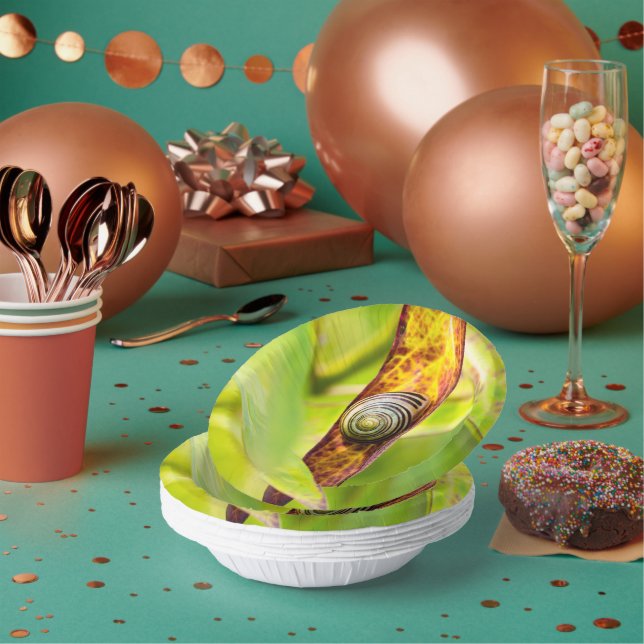 ruhige Bindung Pappteller (Multi)