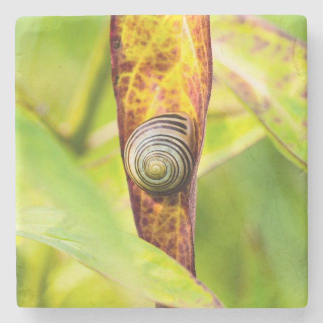 ruhige Bindung Steinuntersetzer (Vorderseite)