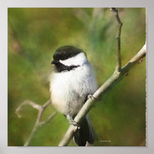 Ruhige Chickadee - ETSY Poster
