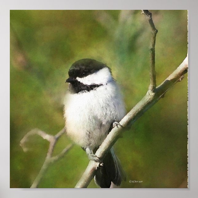 Ruhige Chickadee - ETSY Poster (Vorne)
