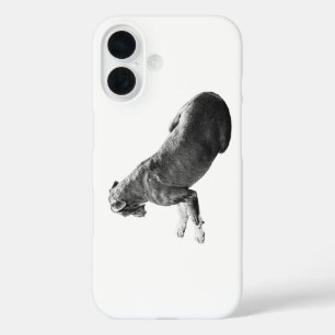 Ruhige Festigkeitsabdeckung iPhone 16 Hülle