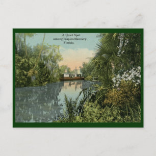 Ruhige Lage in Tropical Florida Vintag Postkarte