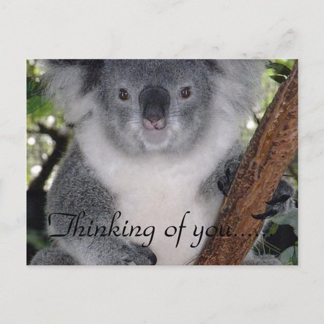 RUHIGE LAGE POSTKARTE (Vorderseite)