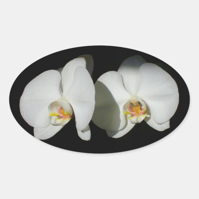 Ruhige Momente Ovaler Aufkleber (Vorderseite)