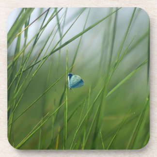 Ruhige Naturszene Blauer Schmetterling Hartplastik Getränkeuntersetzer