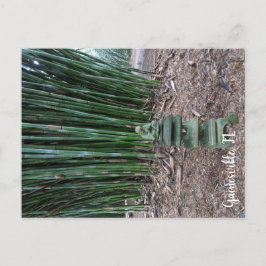 Ruhige Reflektion Postkarte