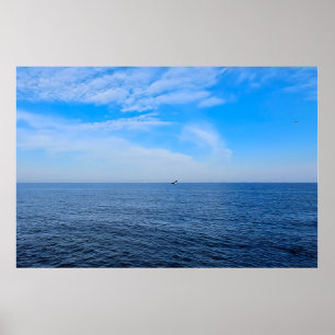 Ruhige Schwarzmeer Rumänien – Möwen Blau Himmel Dr Poster