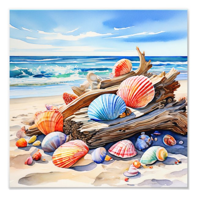 Ruhige Seascape: Driftwood und Seashells Fotodruck (Vorne)