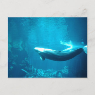 ruhige See Postkarte