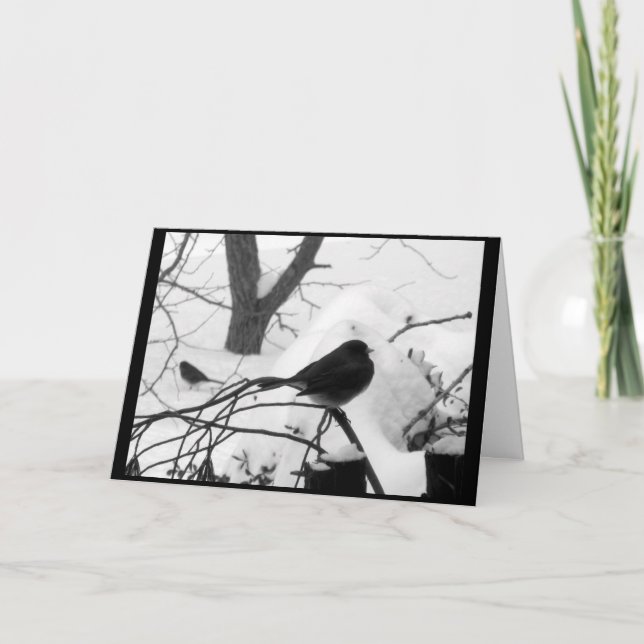 Ruhige Snowbird-Weihnachtskarte Feiertagskarte (Vorderseite)