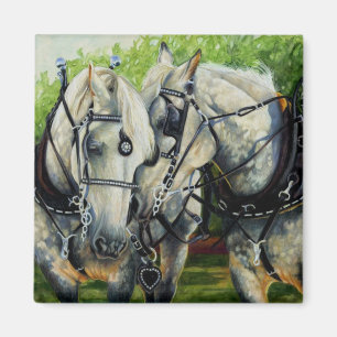 Ruhige Stärke - Percheron Horst Team Magnet