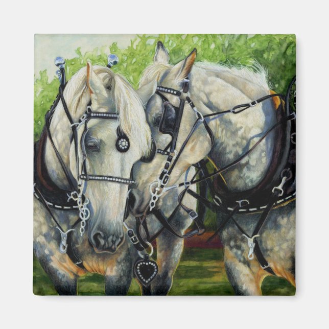 Ruhige Stärke - Percheron Horst Team Magnet (Vorne)